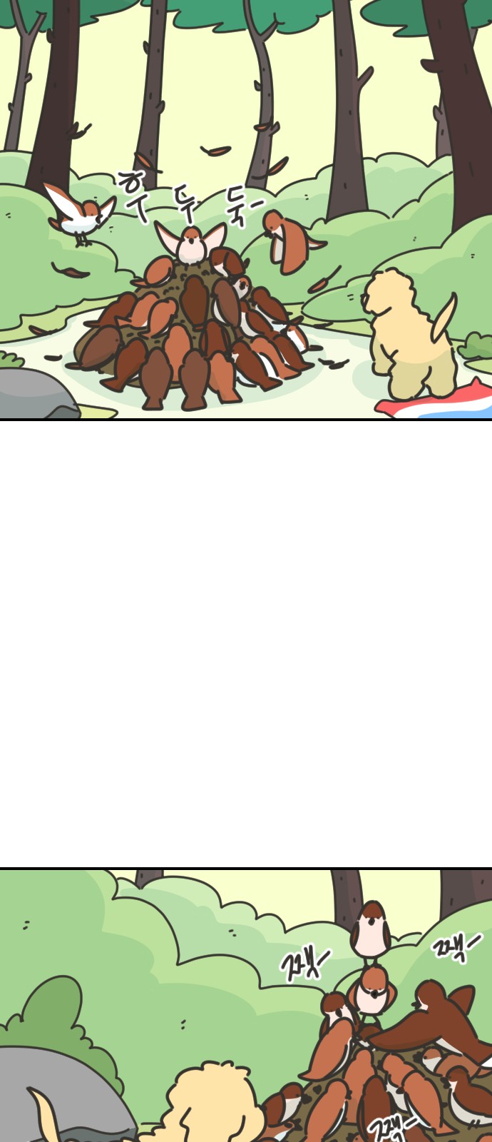 16 페이지