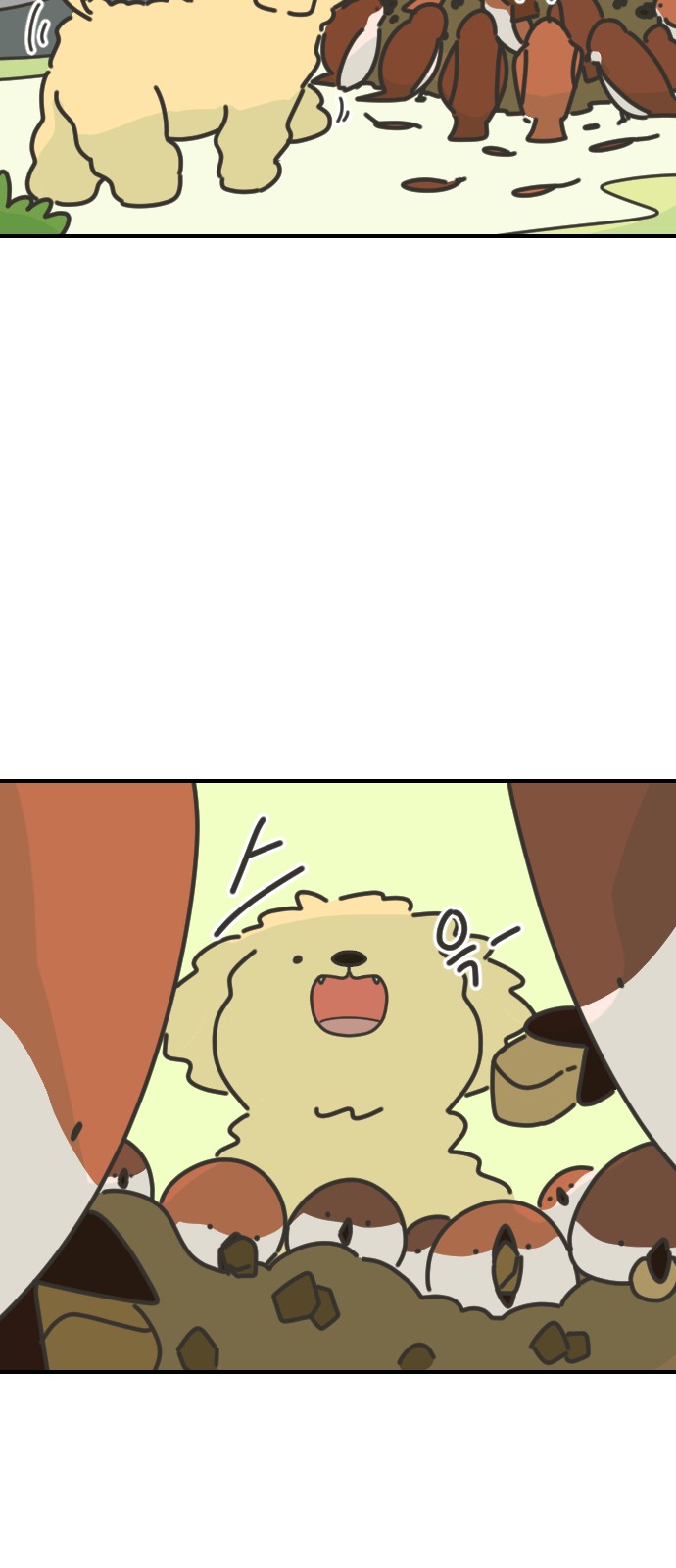 17 페이지