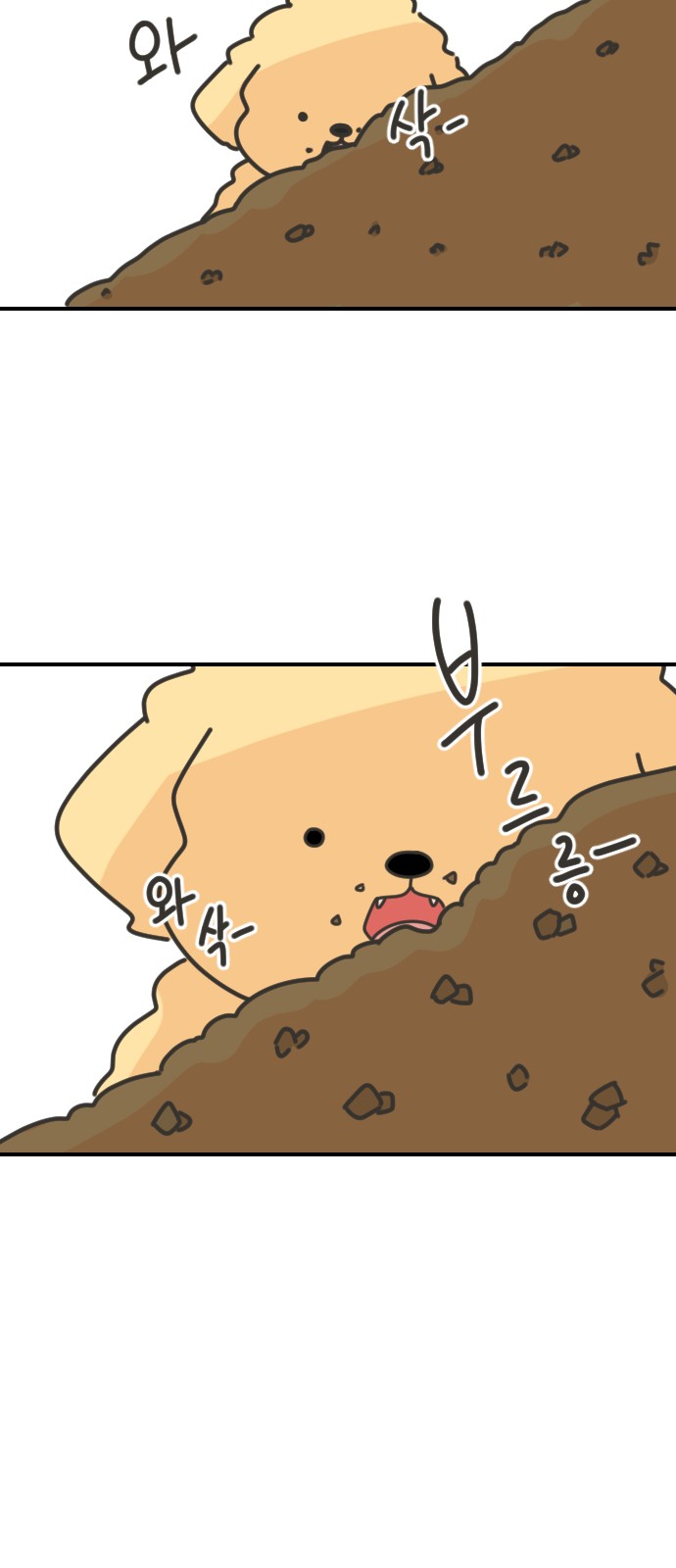 6 페이지