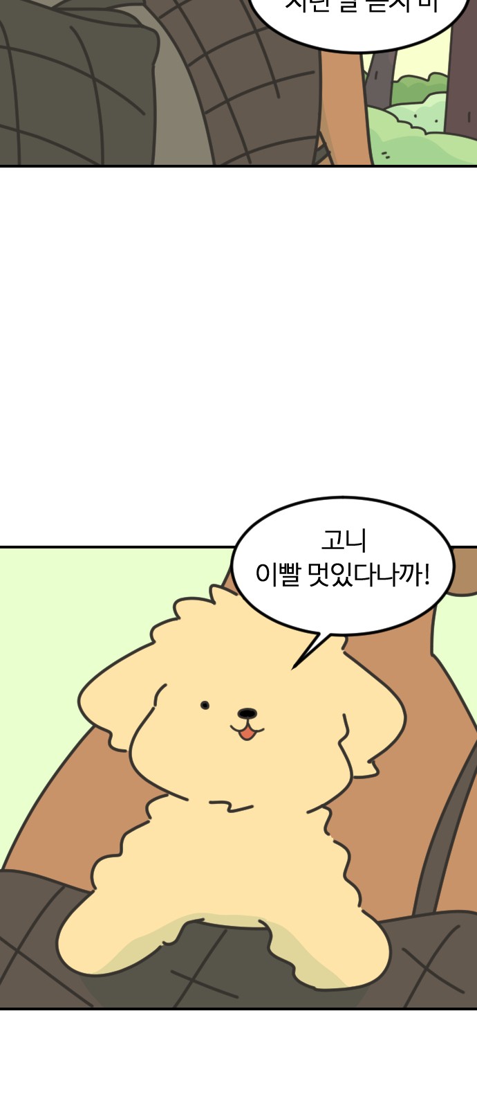 64 페이지
