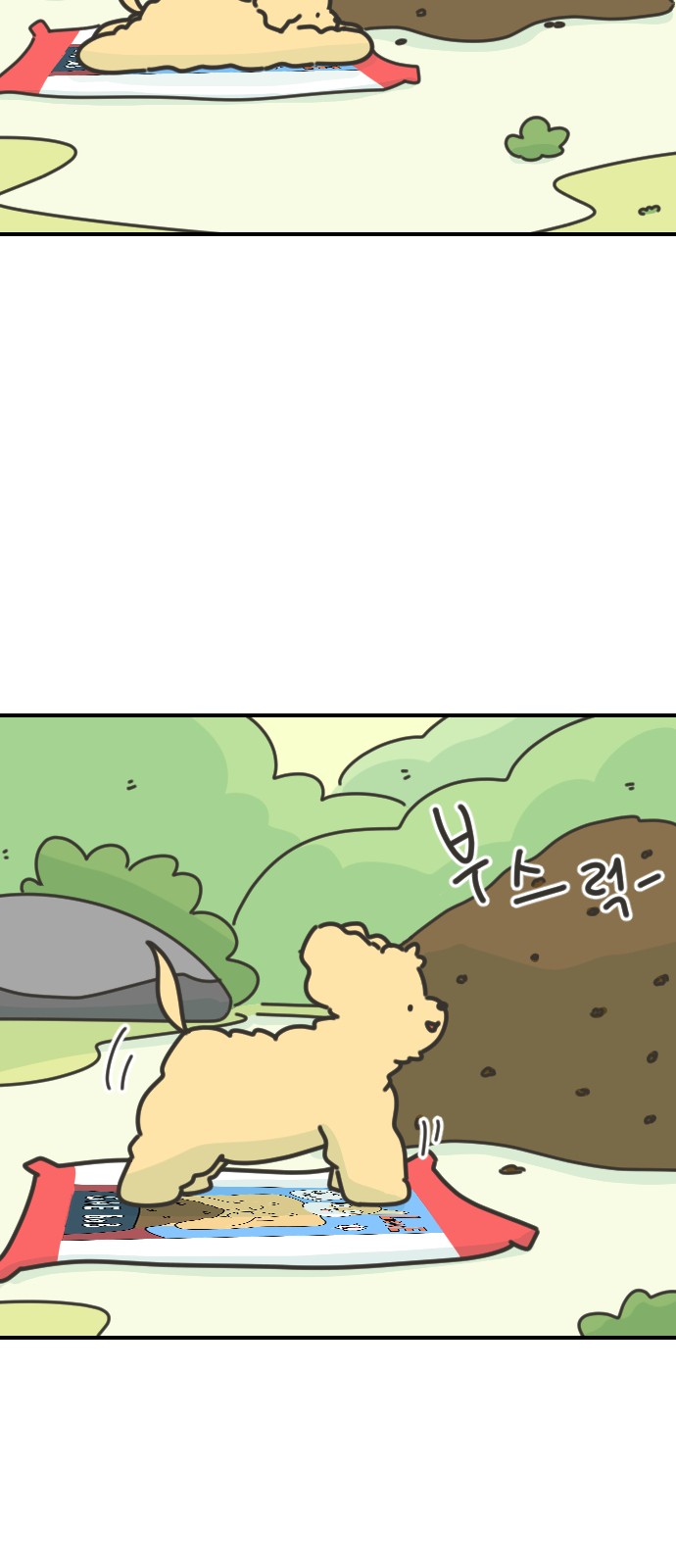 10 페이지