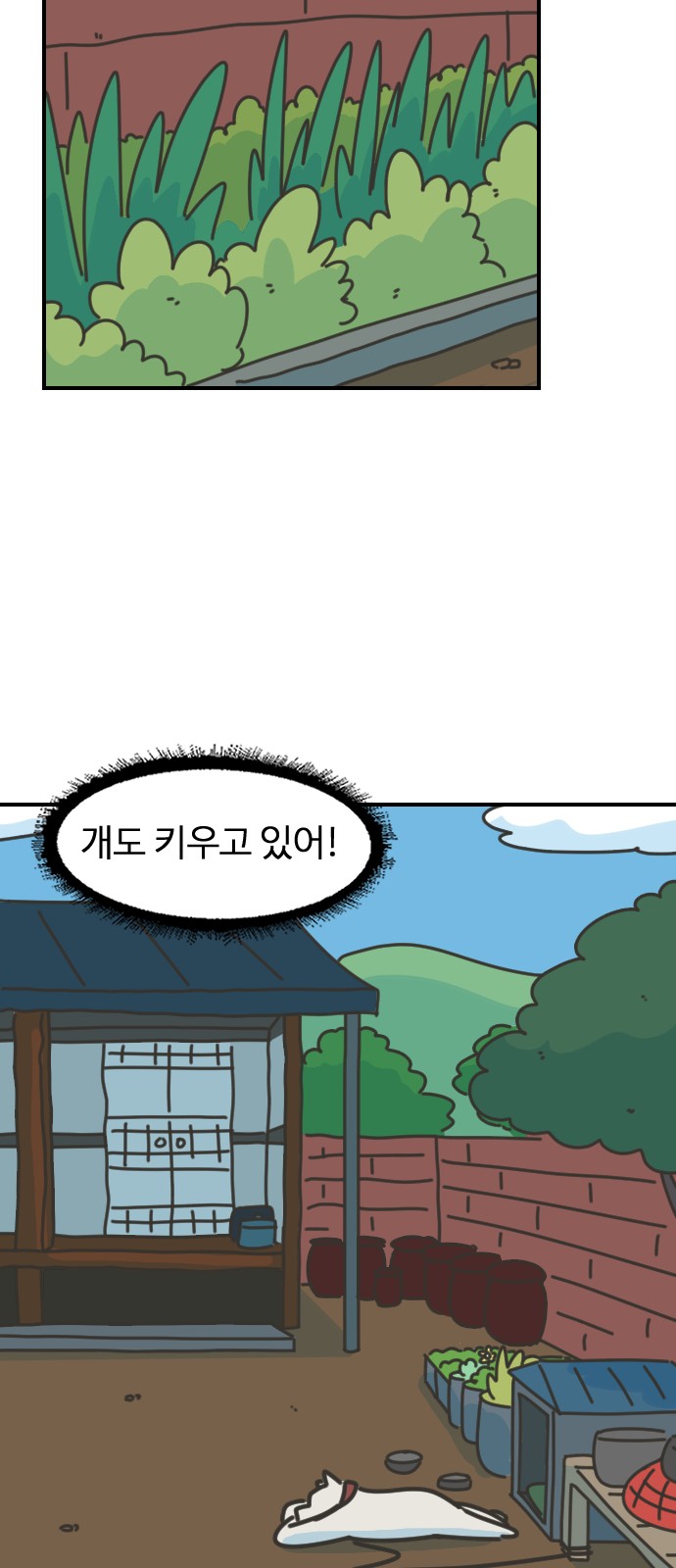 41 페이지