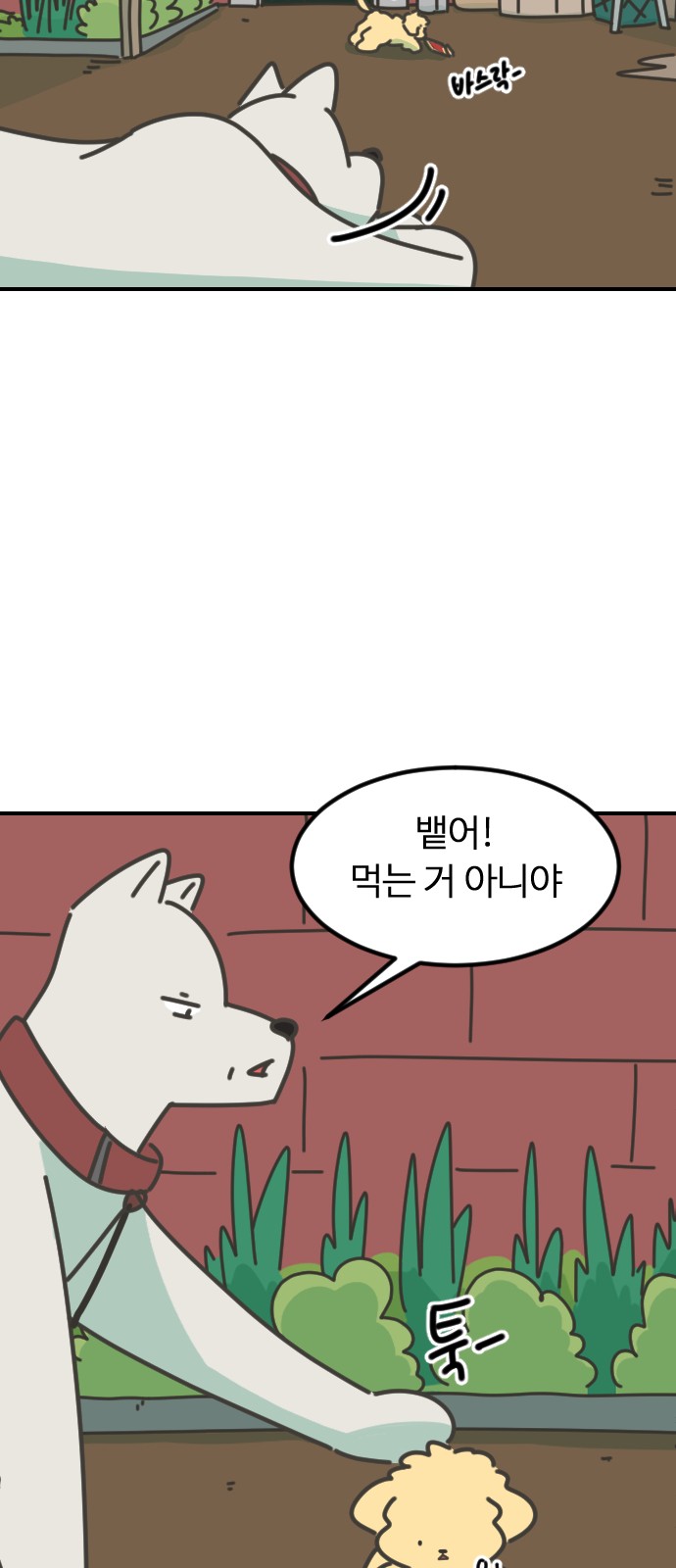 16 페이지