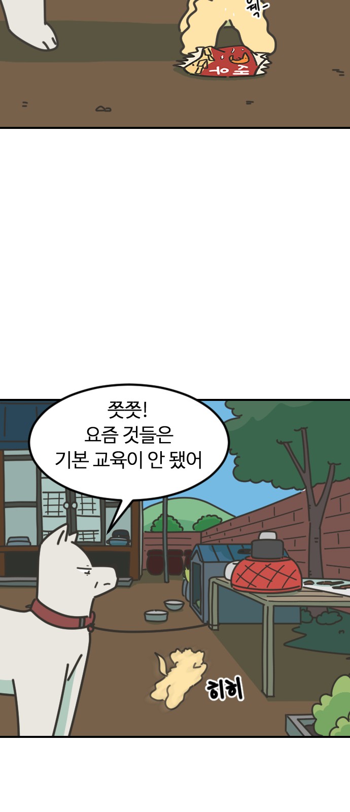 17 페이지