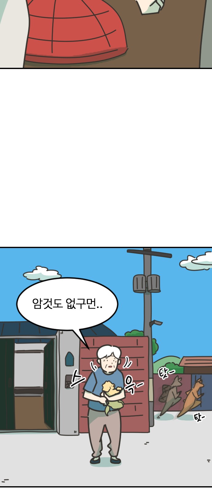 41 페이지