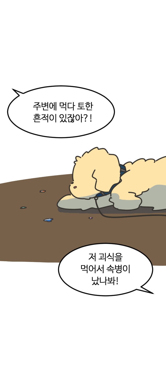 21 페이지