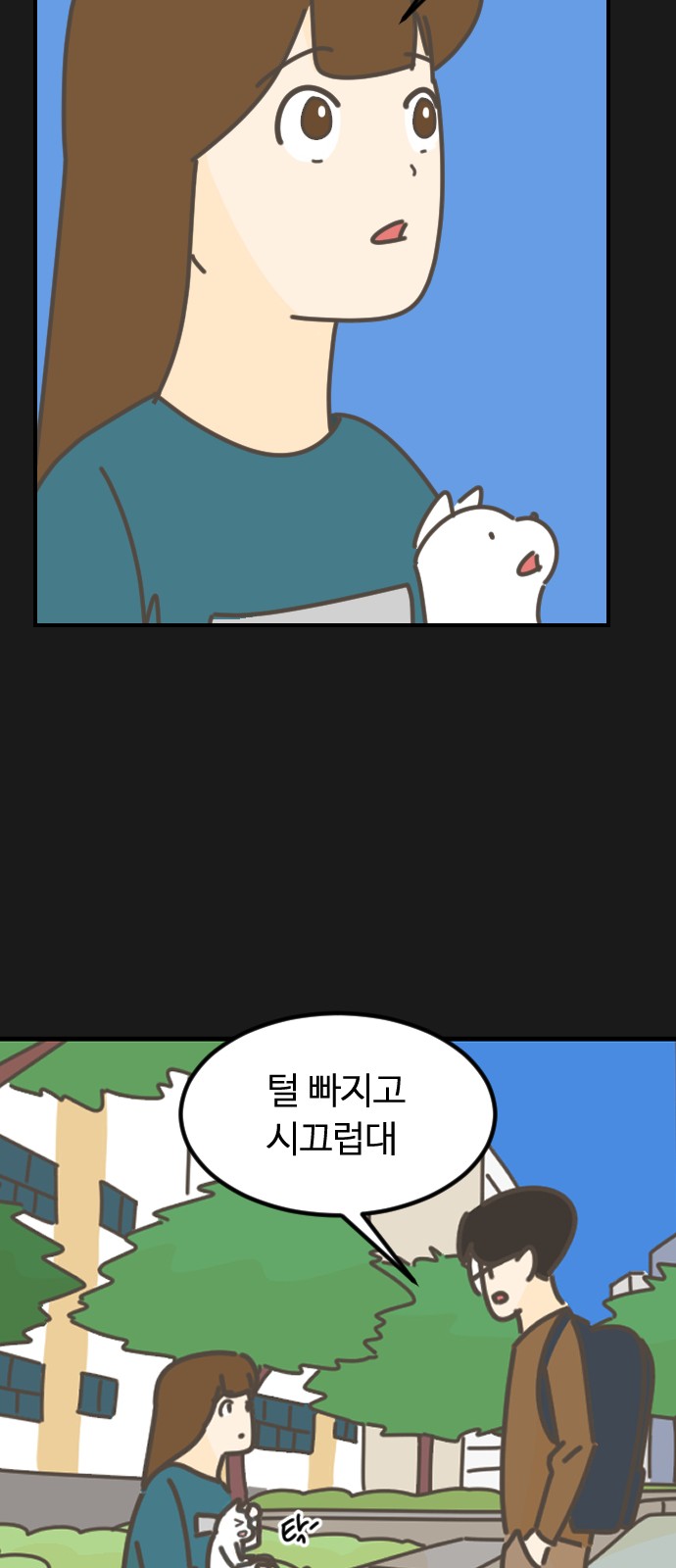51 페이지