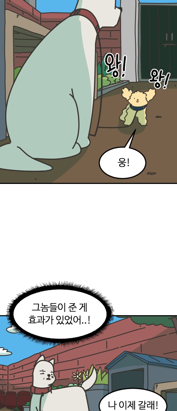 31 페이지