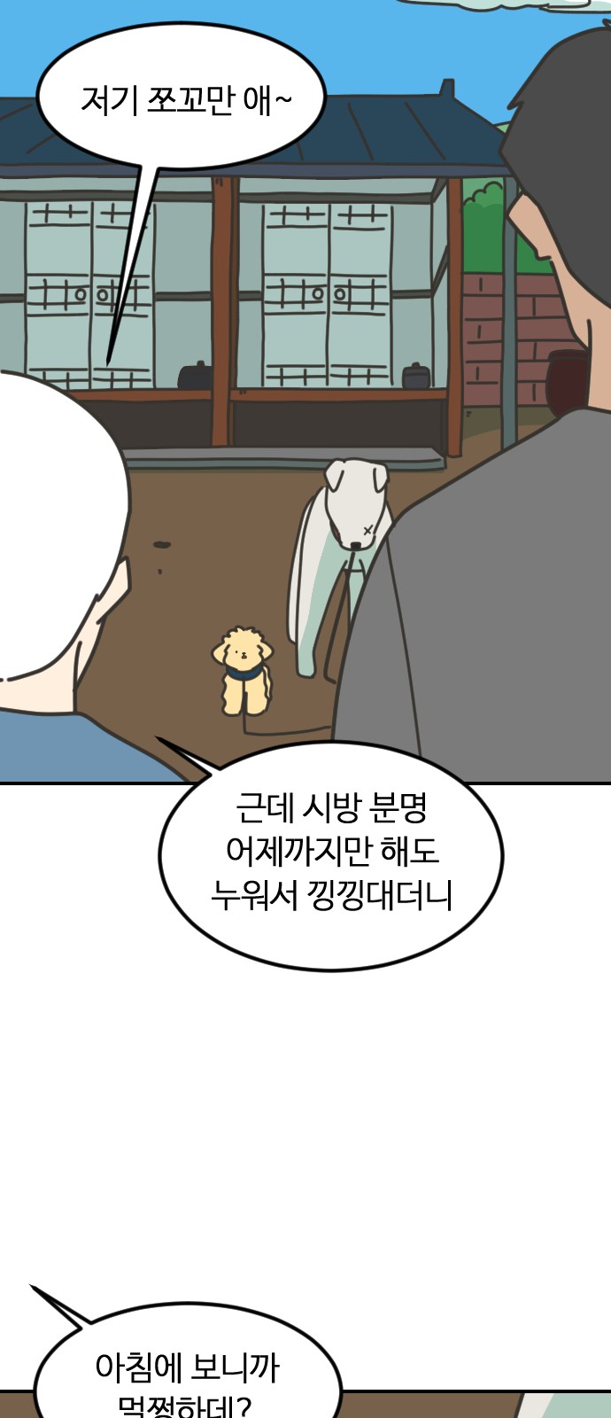 43 페이지
