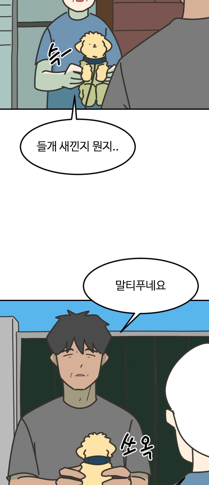 46 페이지