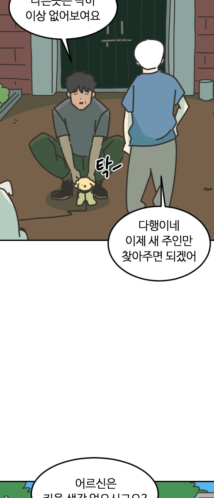 50 페이지