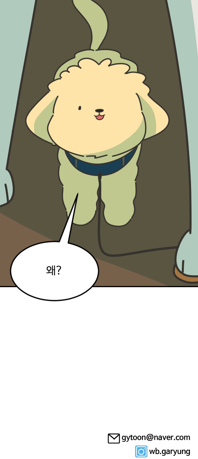 74 페이지