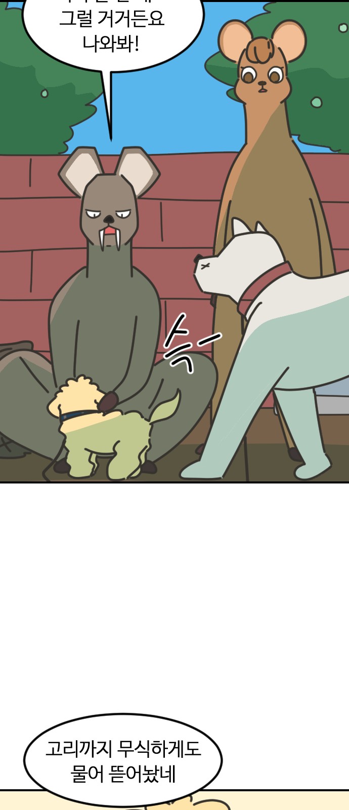 39 페이지