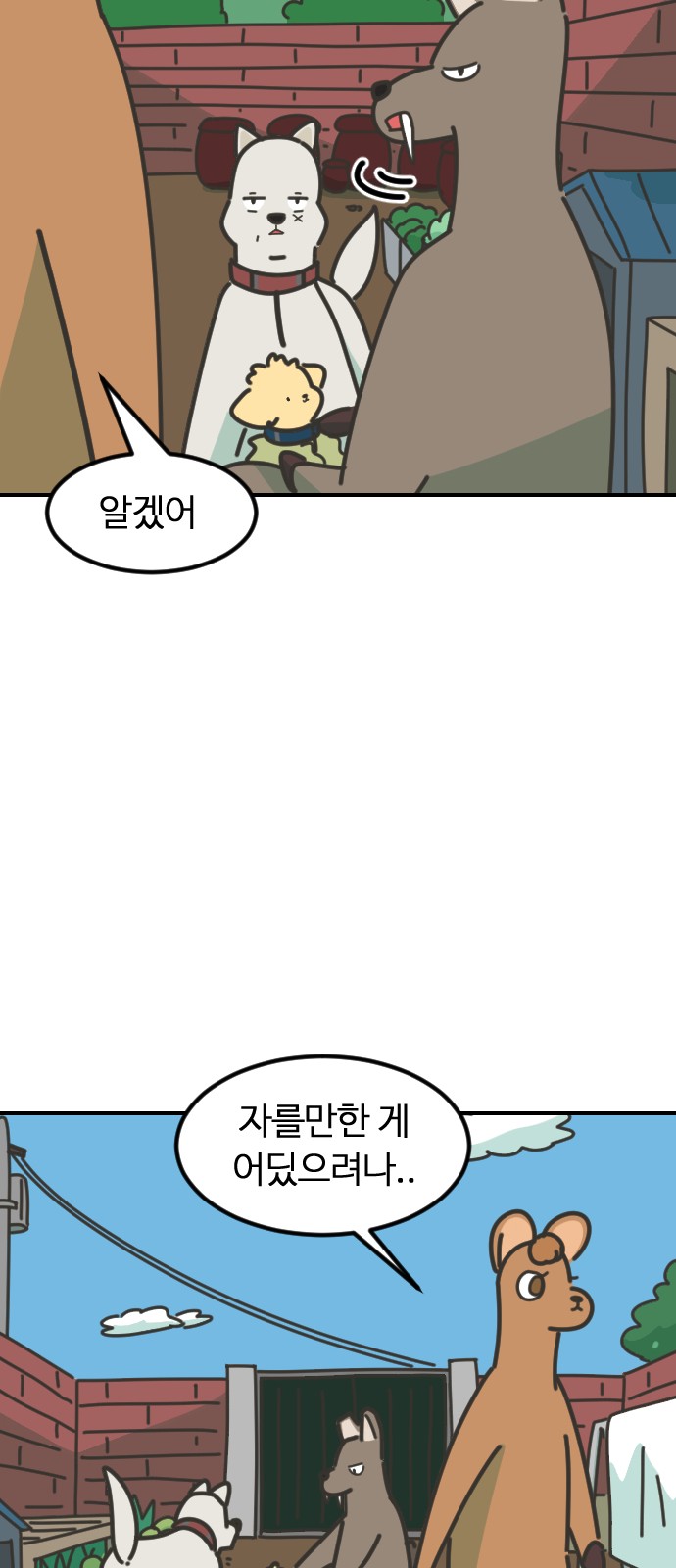 41 페이지