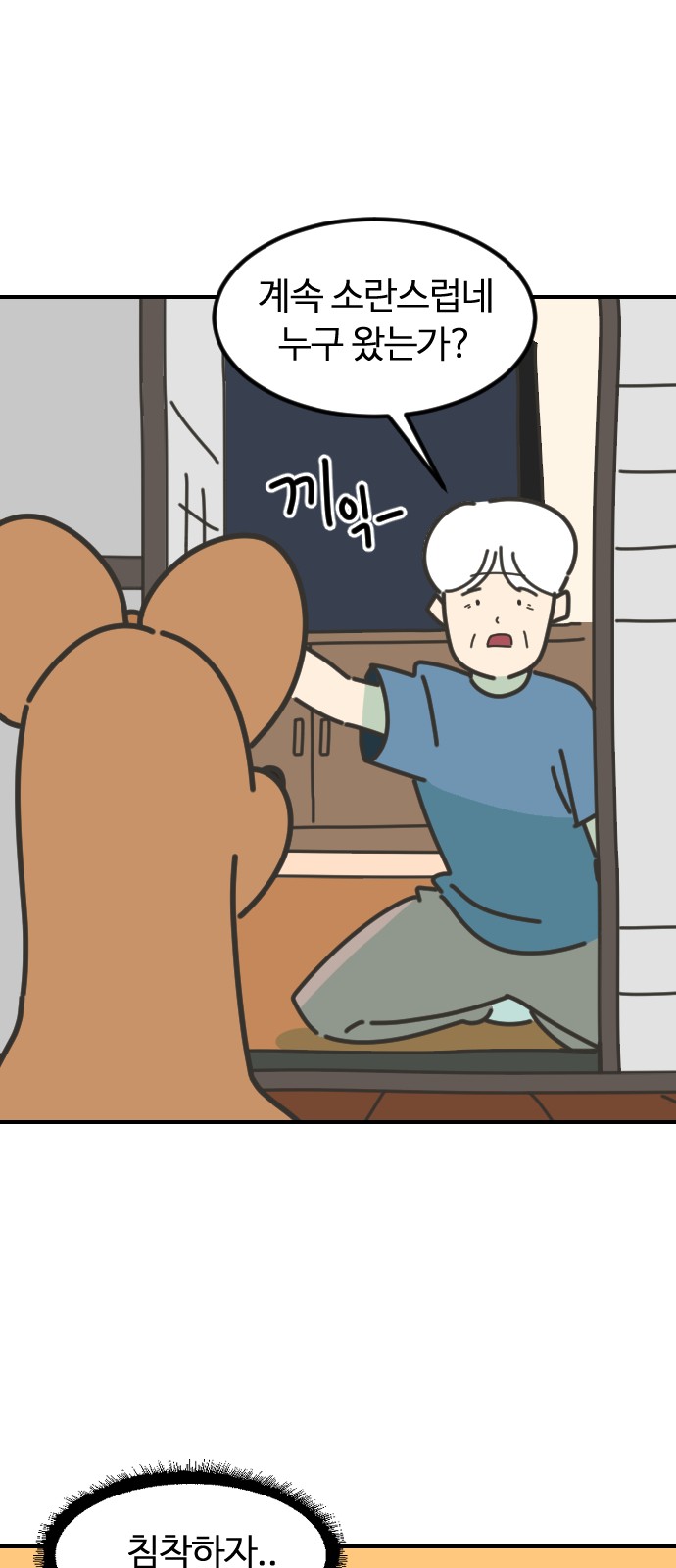 43 페이지