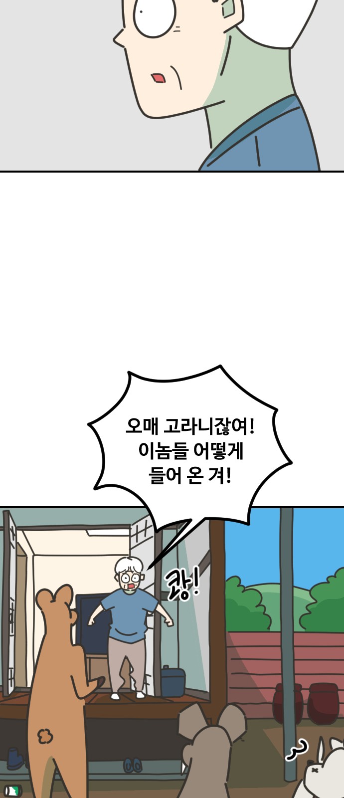 45 페이지
