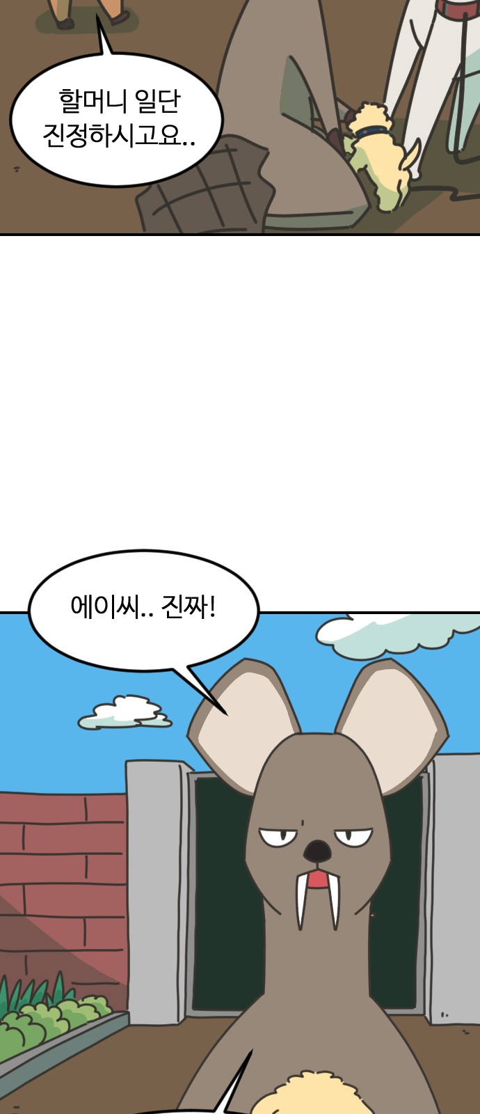 46 페이지