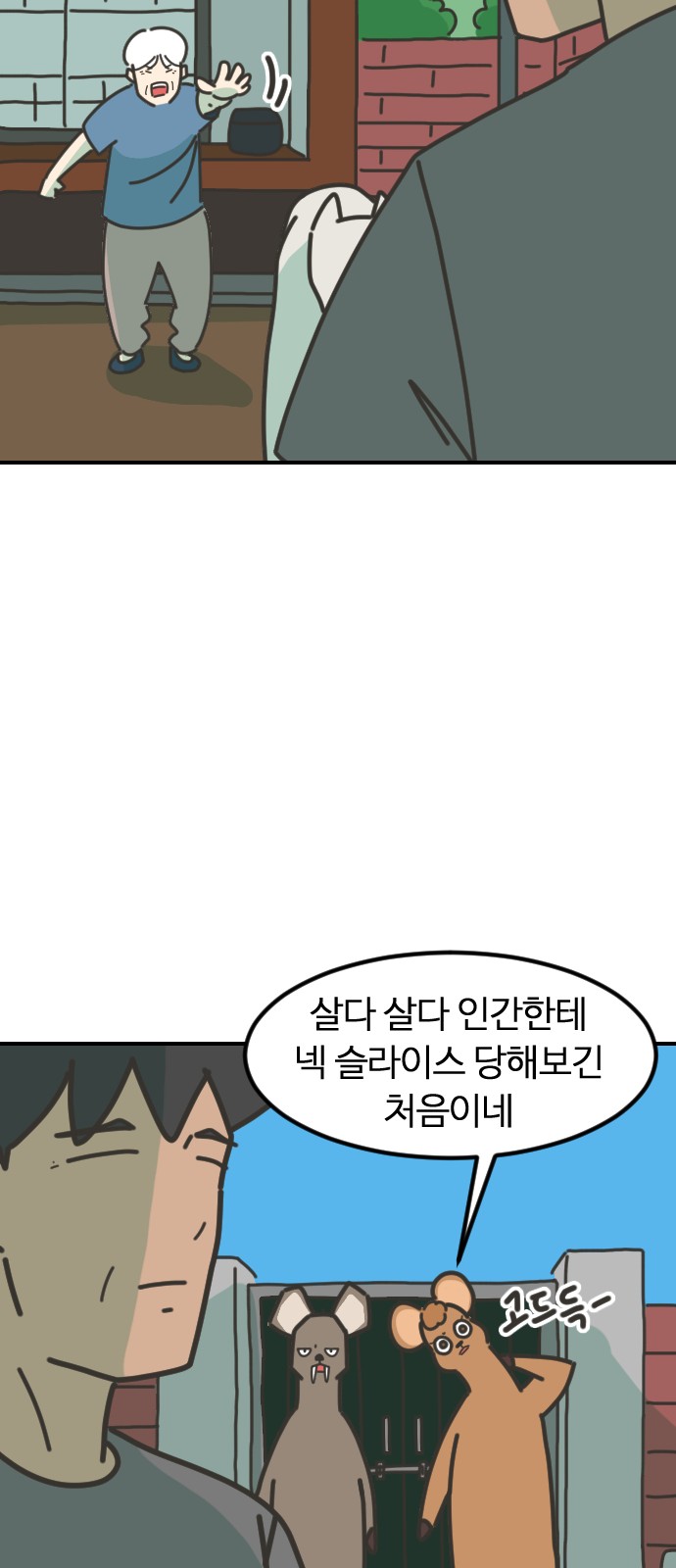 10 페이지