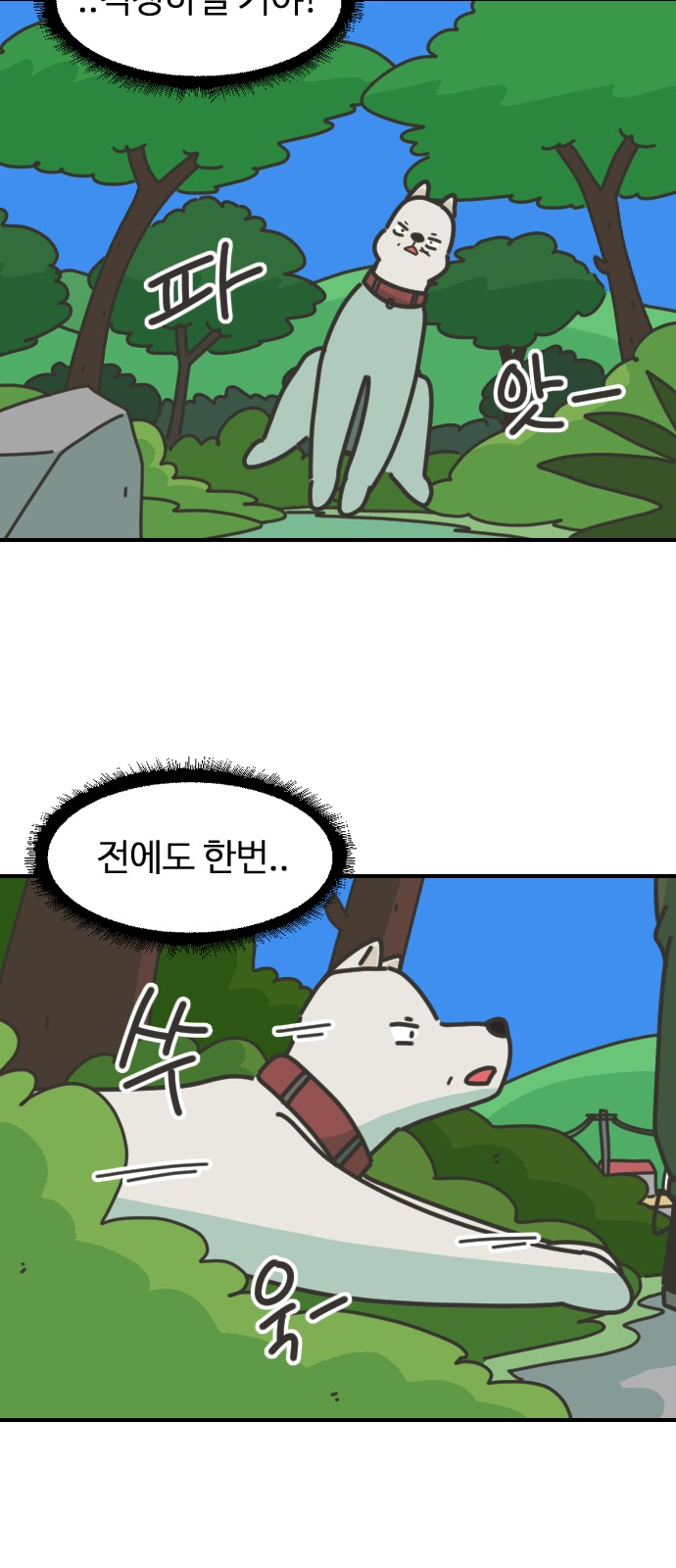 60 페이지