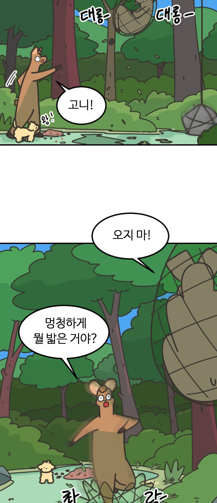 40 페이지