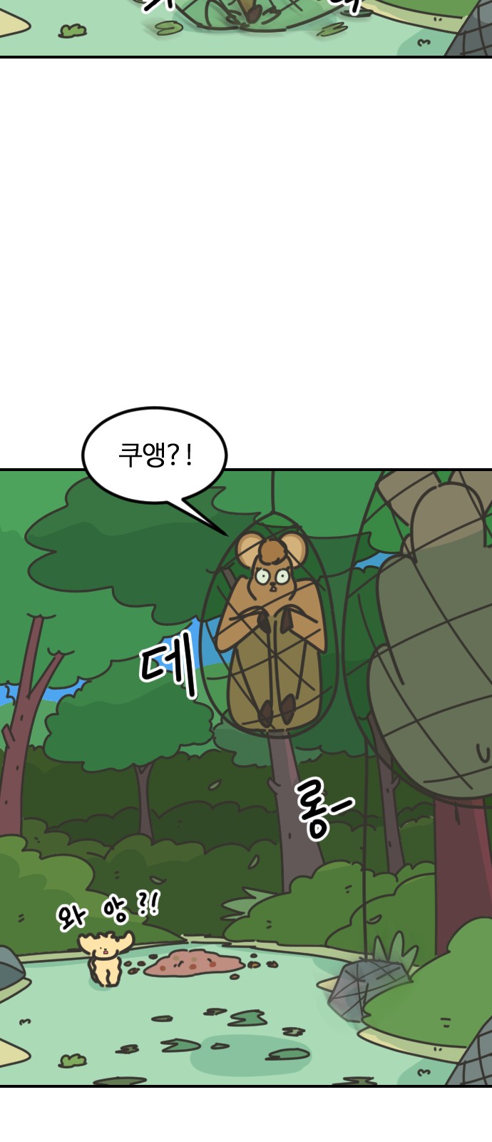 41 페이지