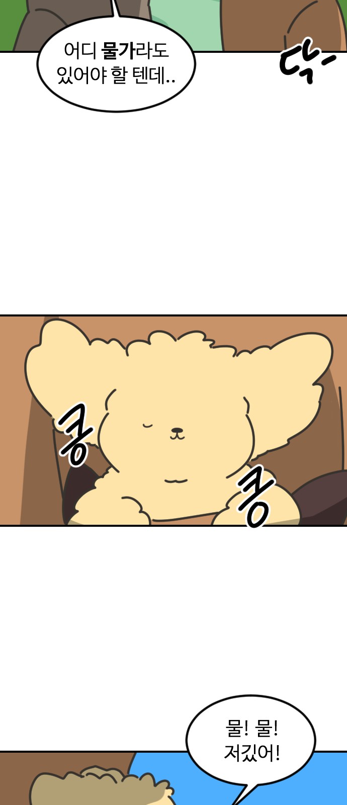 5 페이지