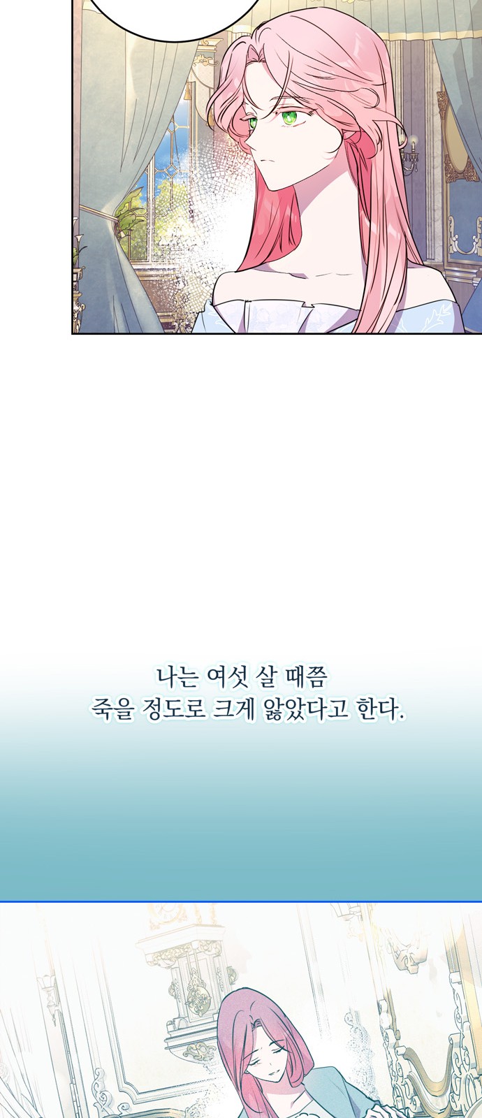61 페이지