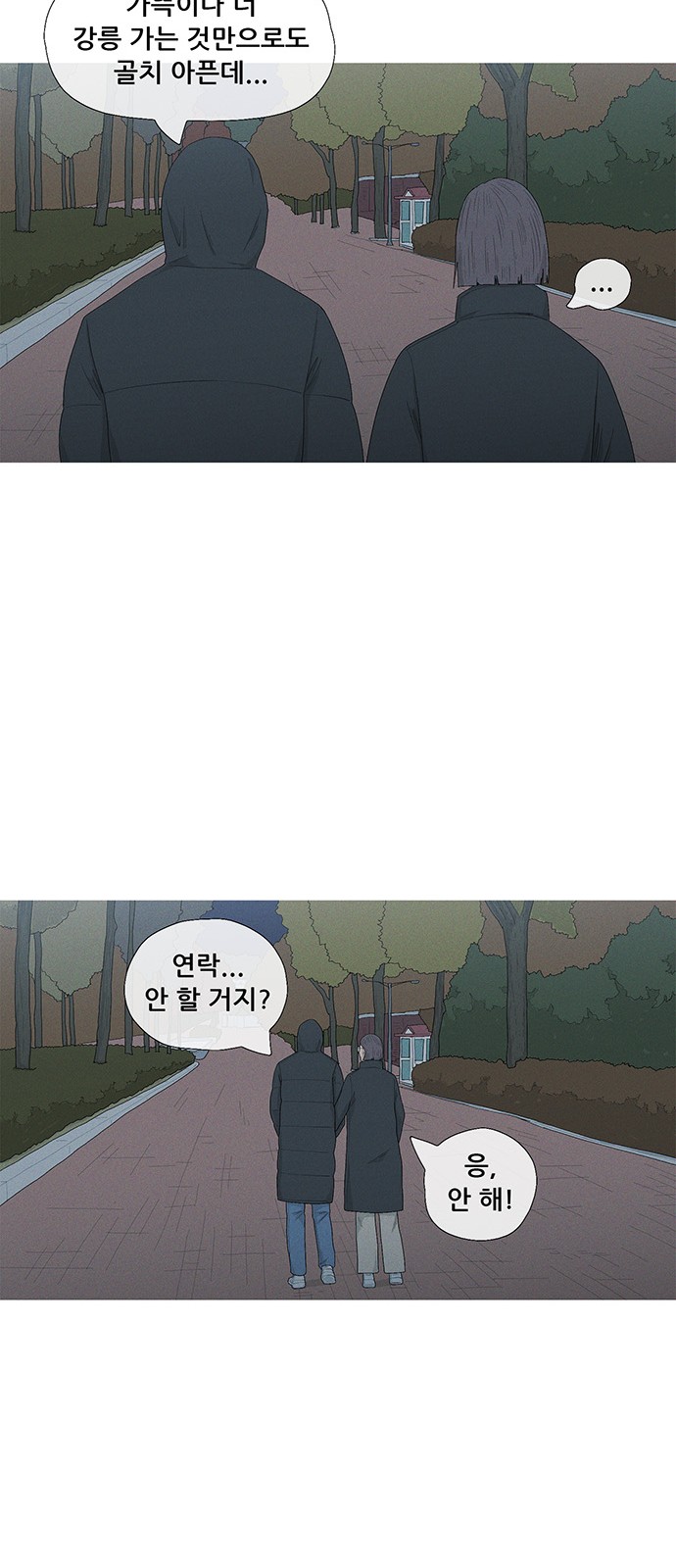 46 페이지