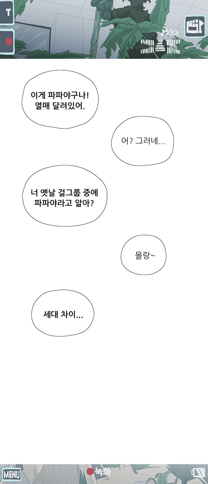 26 페이지