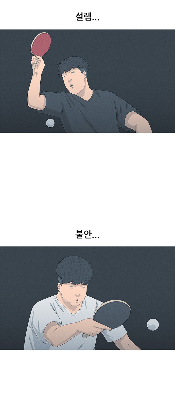 41 페이지