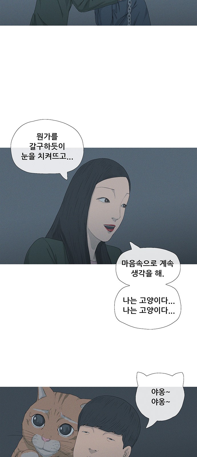 80 페이지