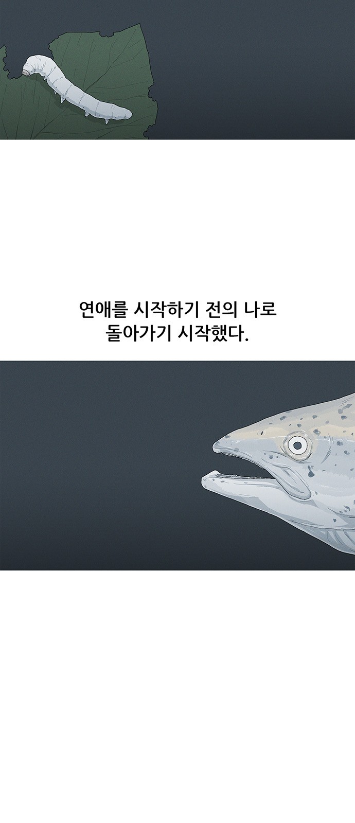 40 페이지
