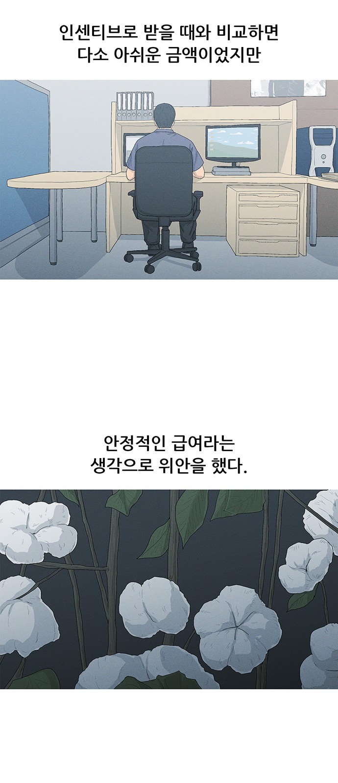 43 페이지