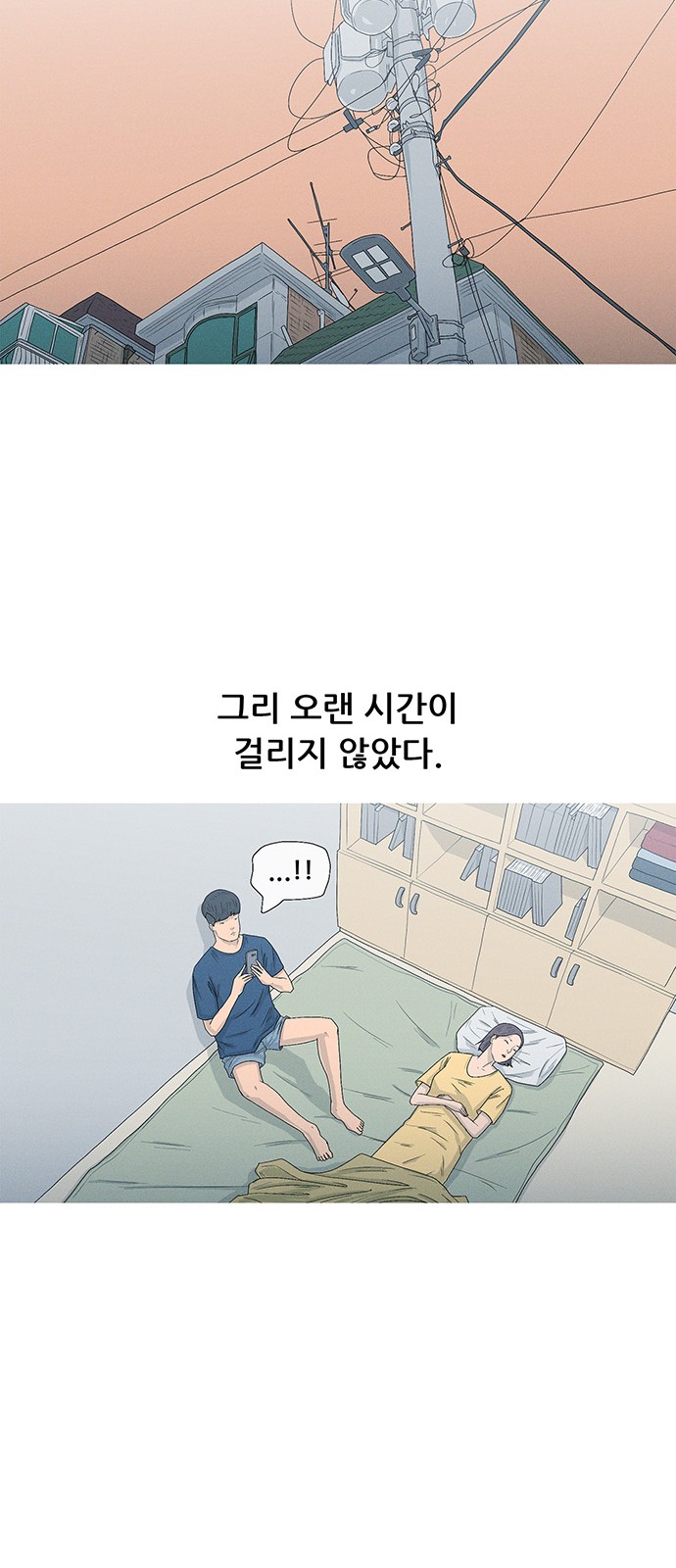 41 페이지