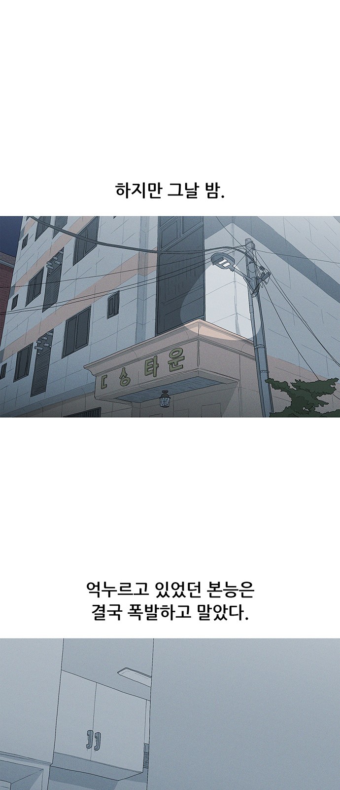 46 페이지