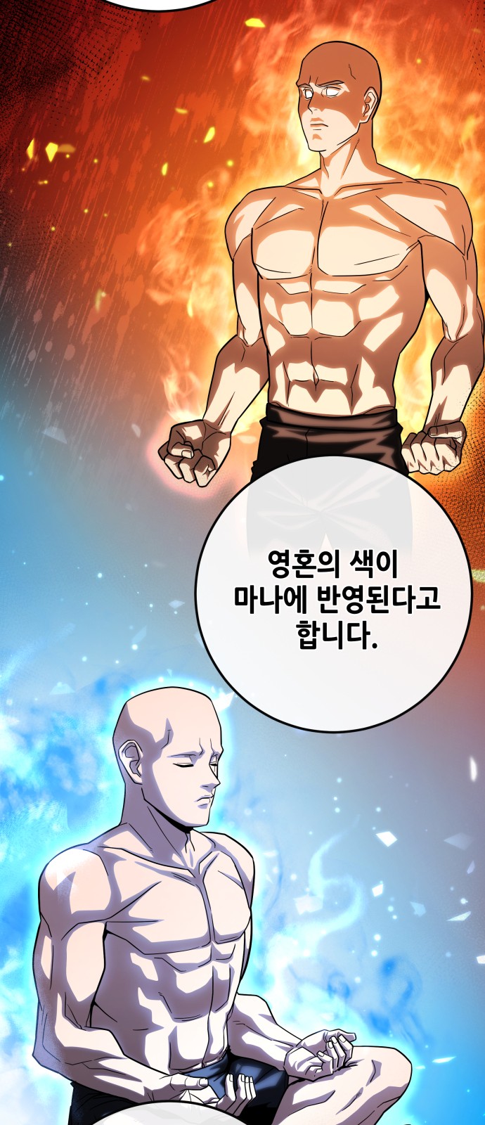 29 페이지