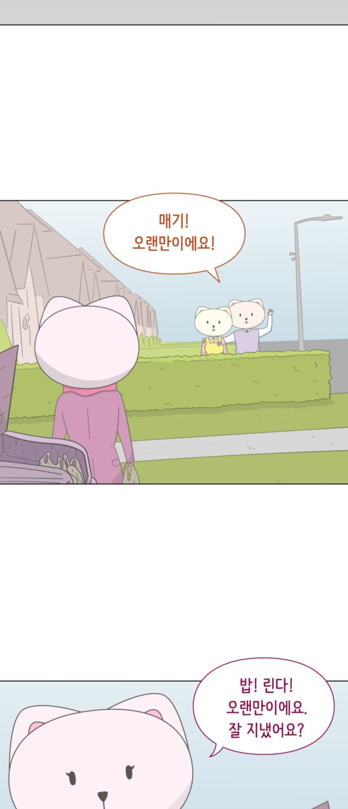 31 페이지