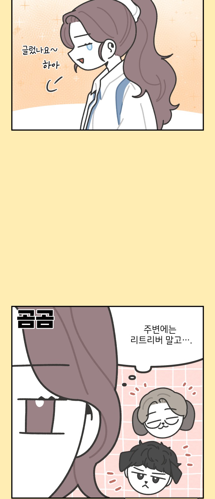 20 페이지