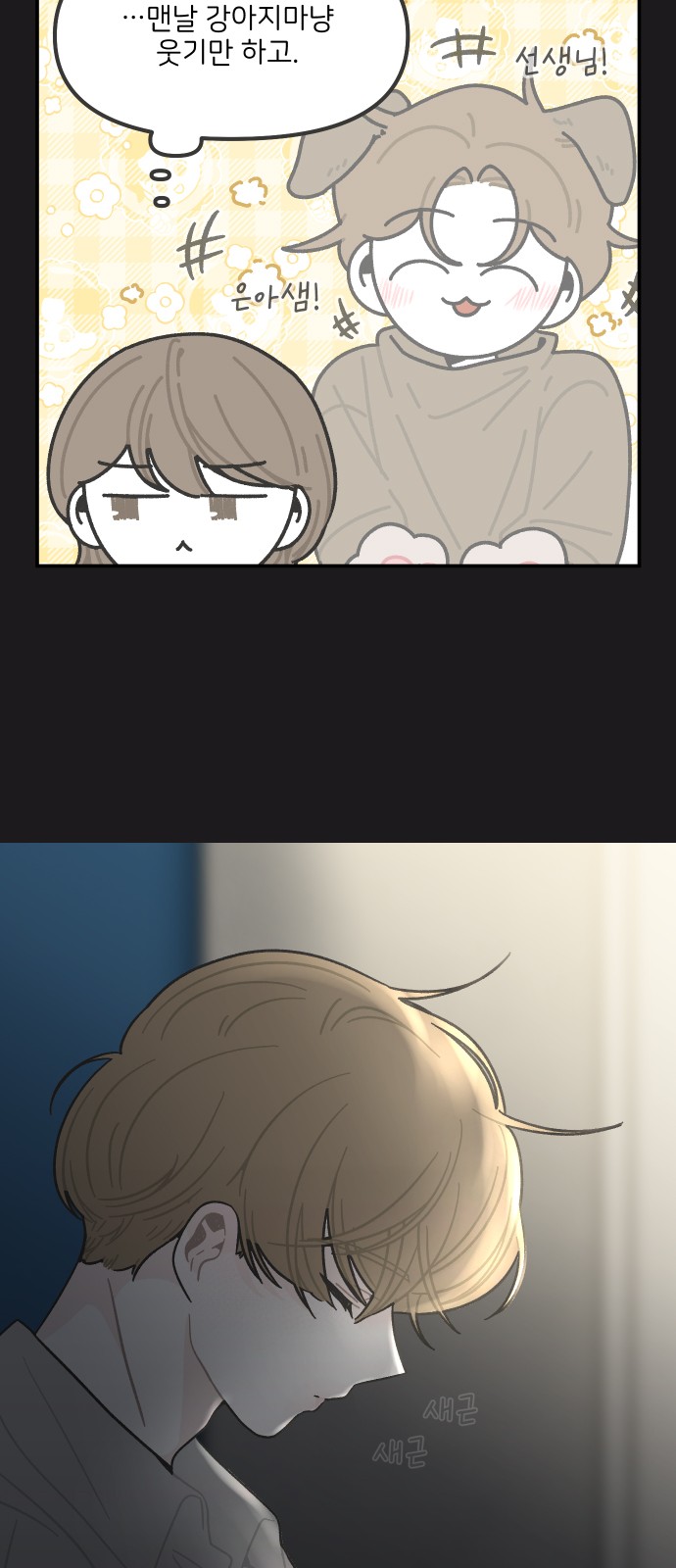 14 페이지