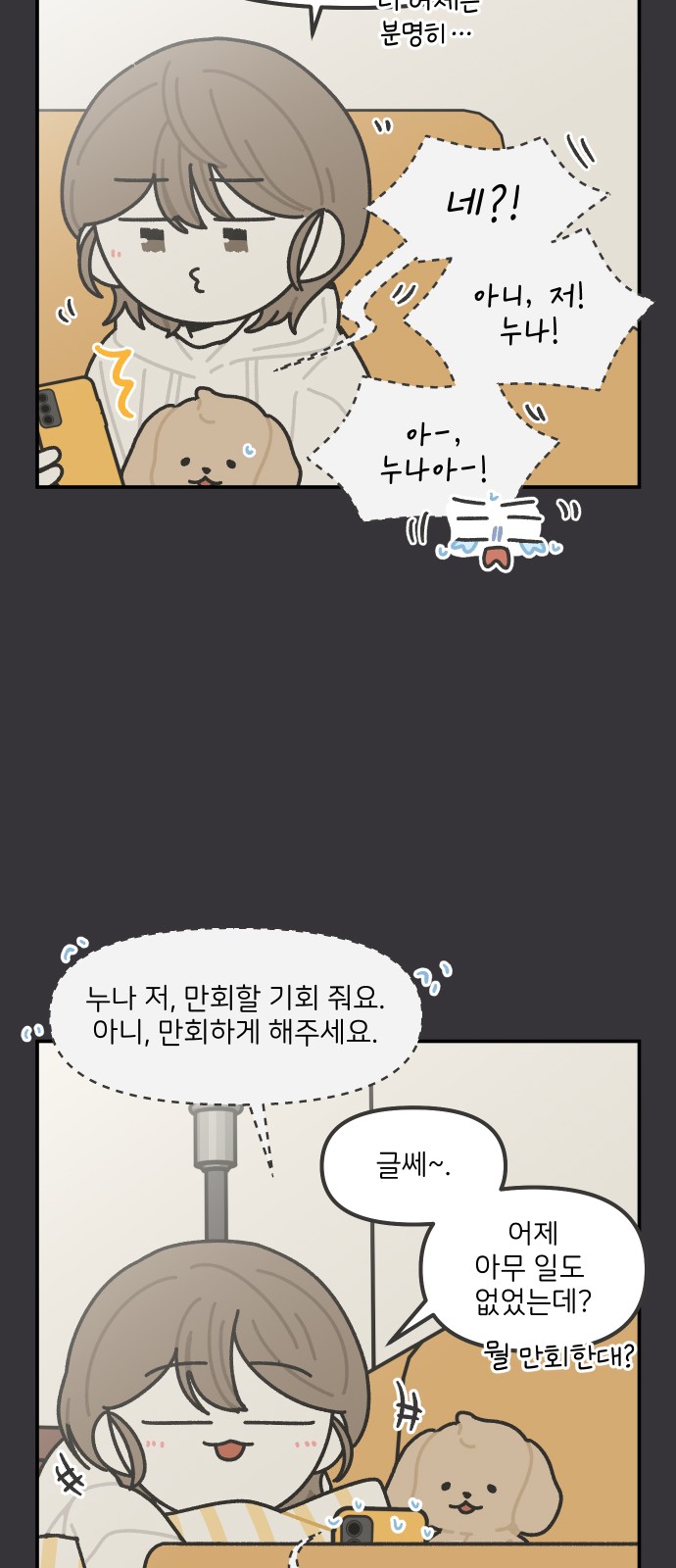 17 페이지