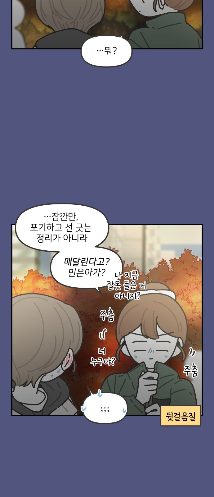 15 페이지