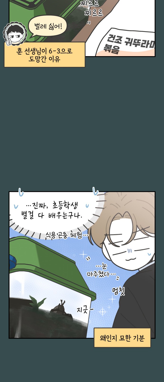 12 페이지