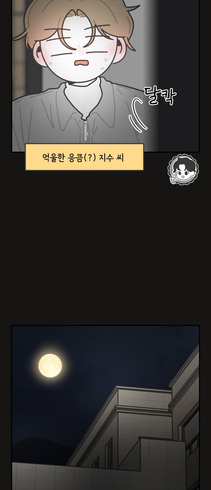 17 페이지