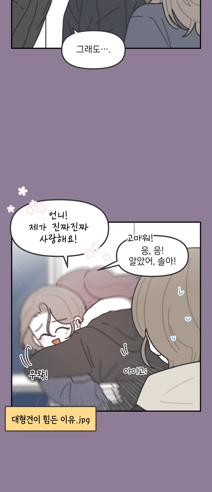 15 페이지