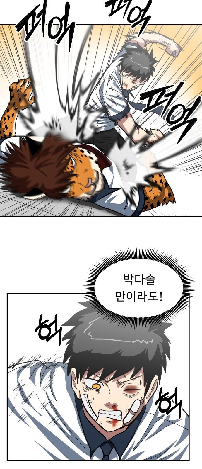 74 페이지