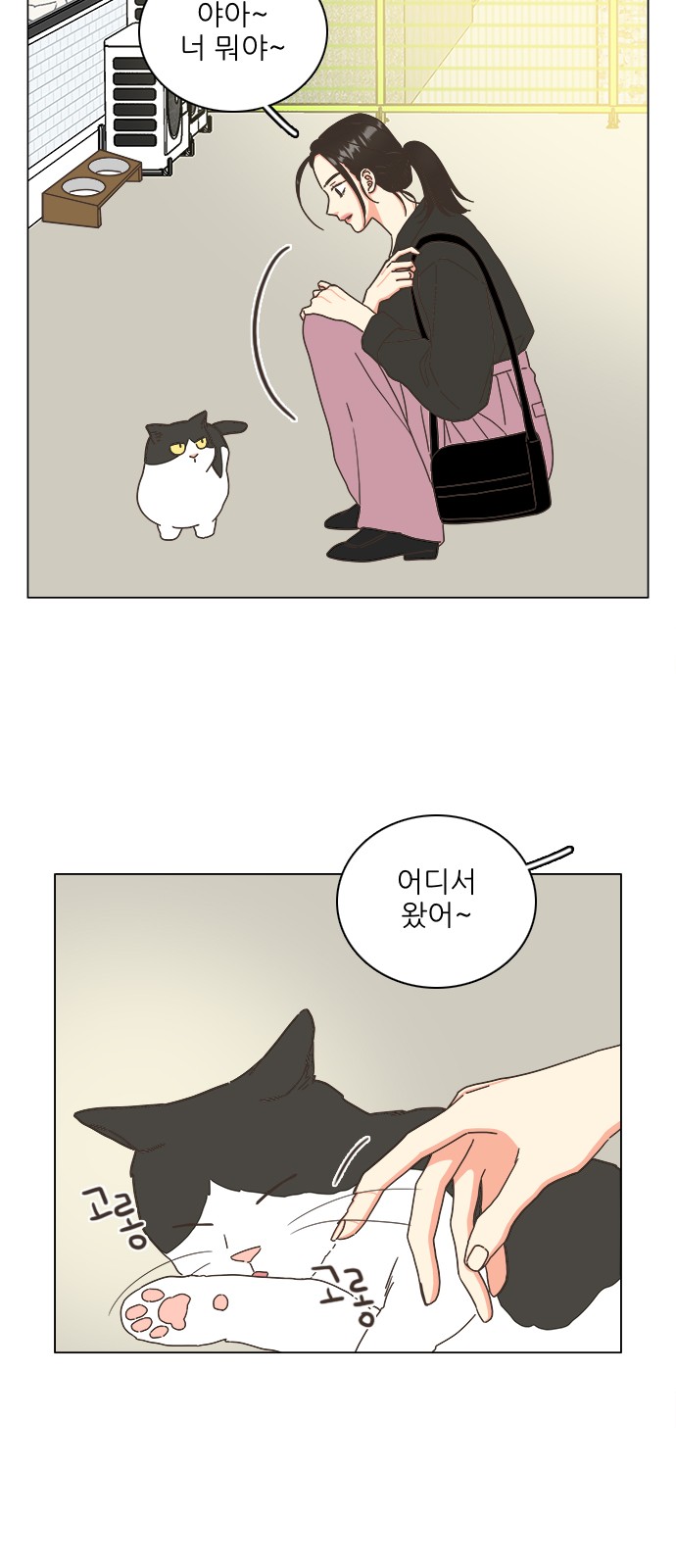 41 페이지