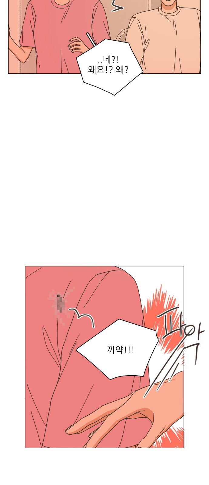 15 페이지