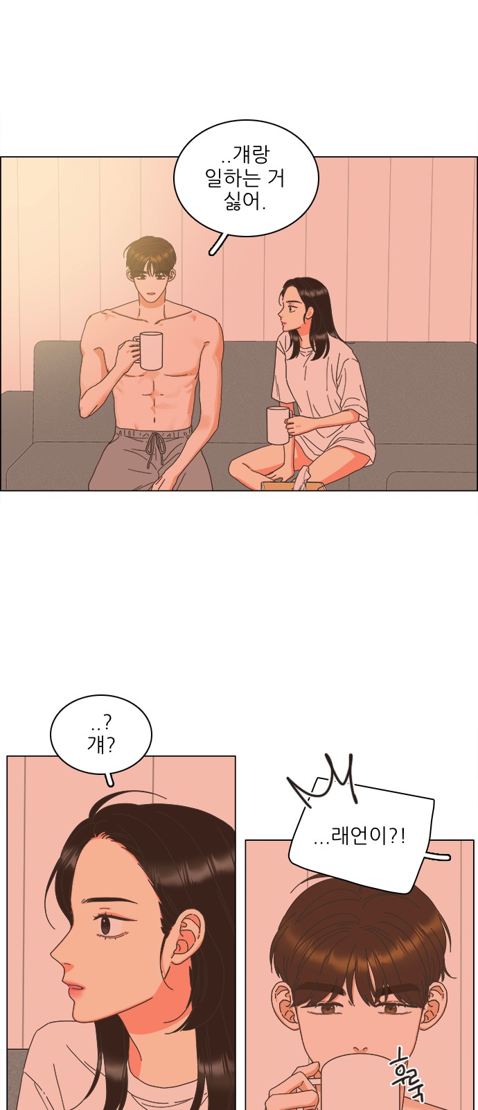 6 페이지