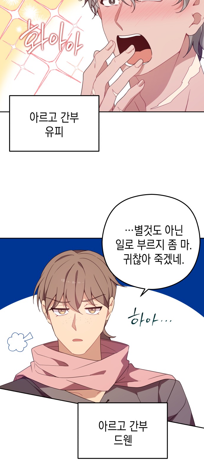 53 페이지