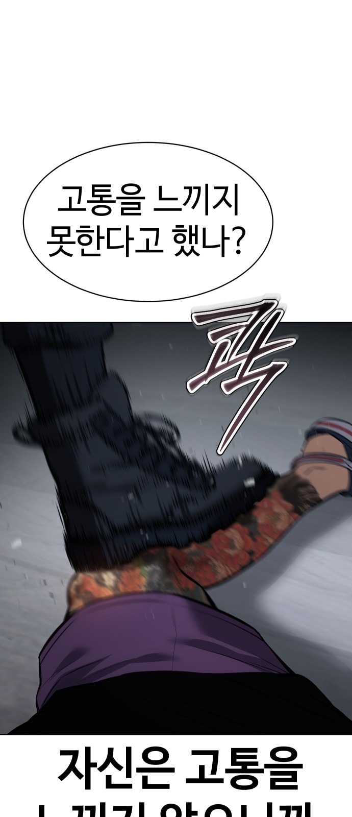 116 페이지